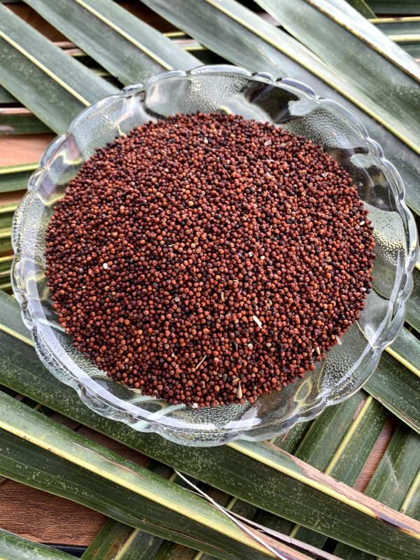 Ragi